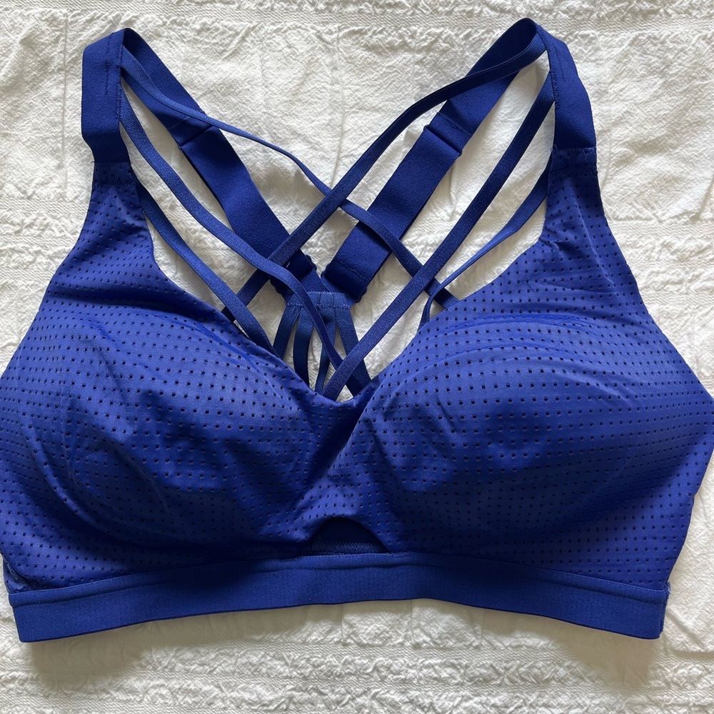 VSX Sport Royal Blue Sports bra